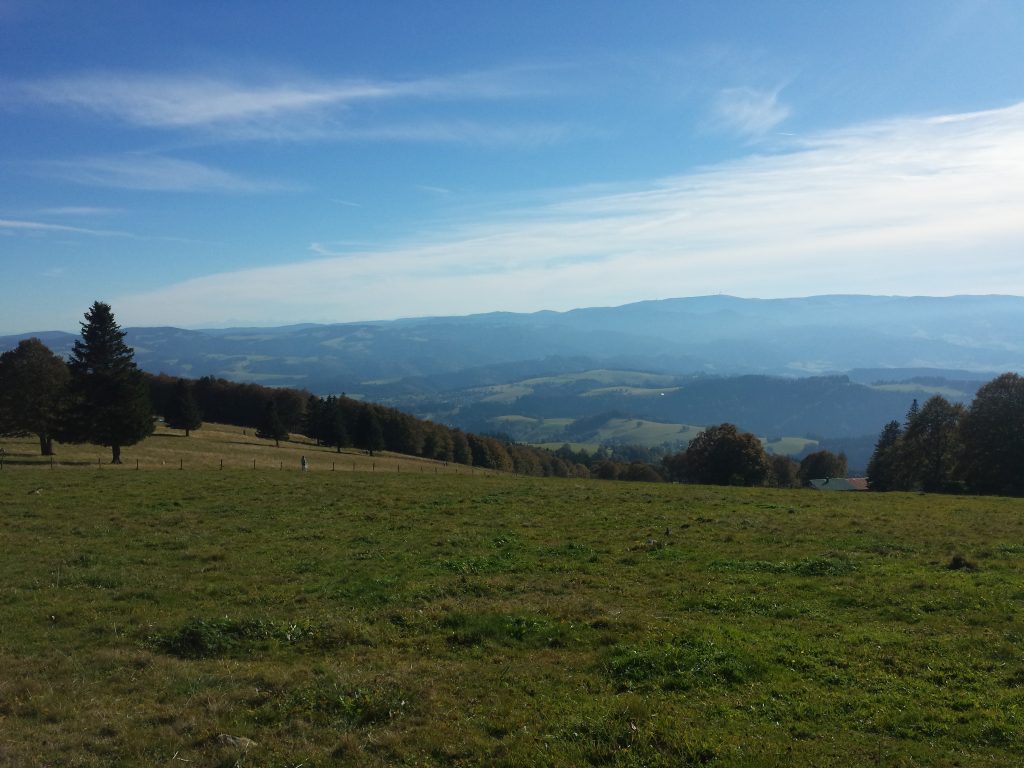 Wandern 23.07.22: Wanderung rund um den Kandel im mittleren Schwarzwald (Andre)