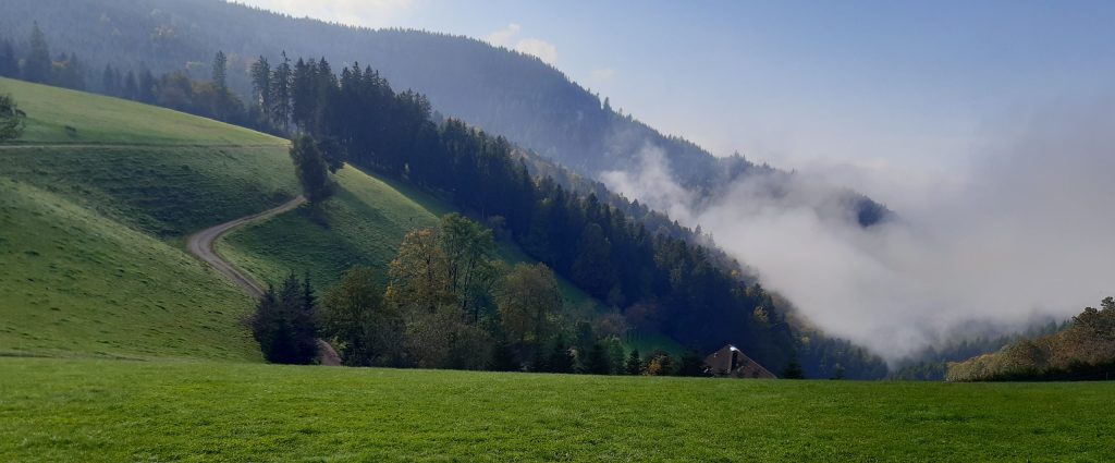 Wandern: Wanderwochenende im mittleren Schwarzwald am 10./11.09.22 (Yana)