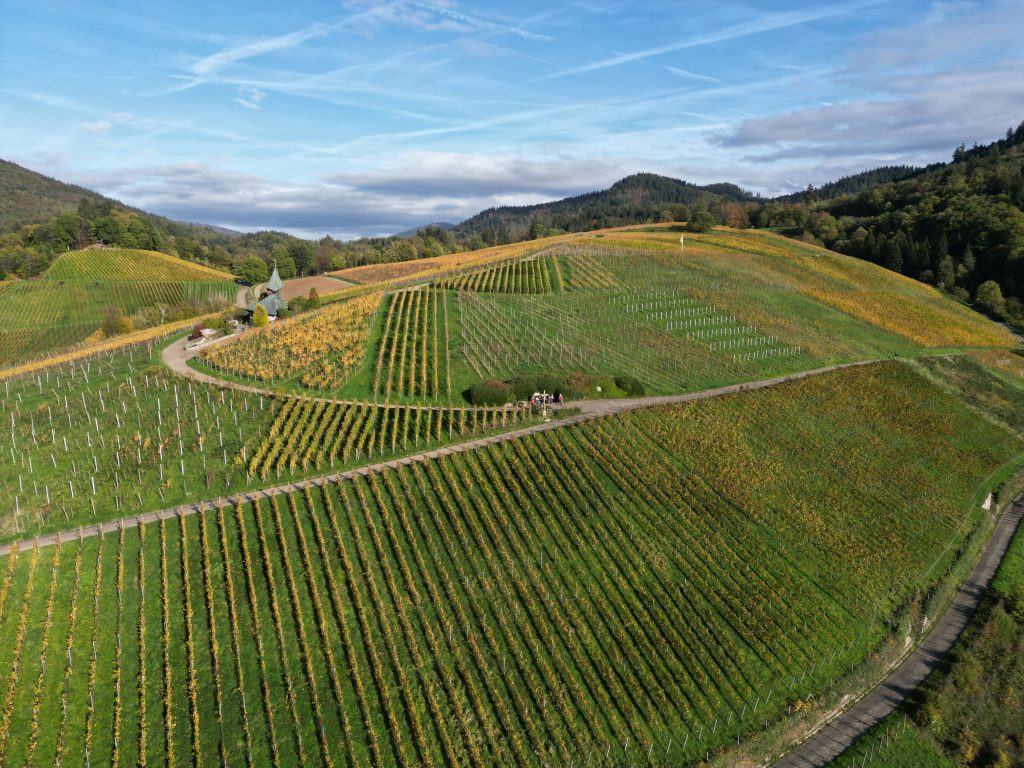 Wandern: Wanderung mit Weinprobe bei Weingut Schädler in Maikammer am Samstag, 21.09.24 (Susanne)