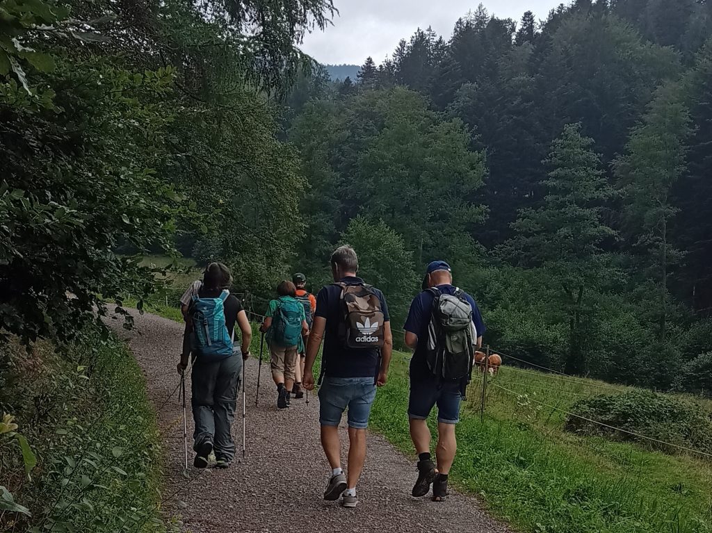 Wanderbericht: Freizeitwandern von Bad Herrenalb zur Plotzsägemühle am 17.08.23 (Frajo)