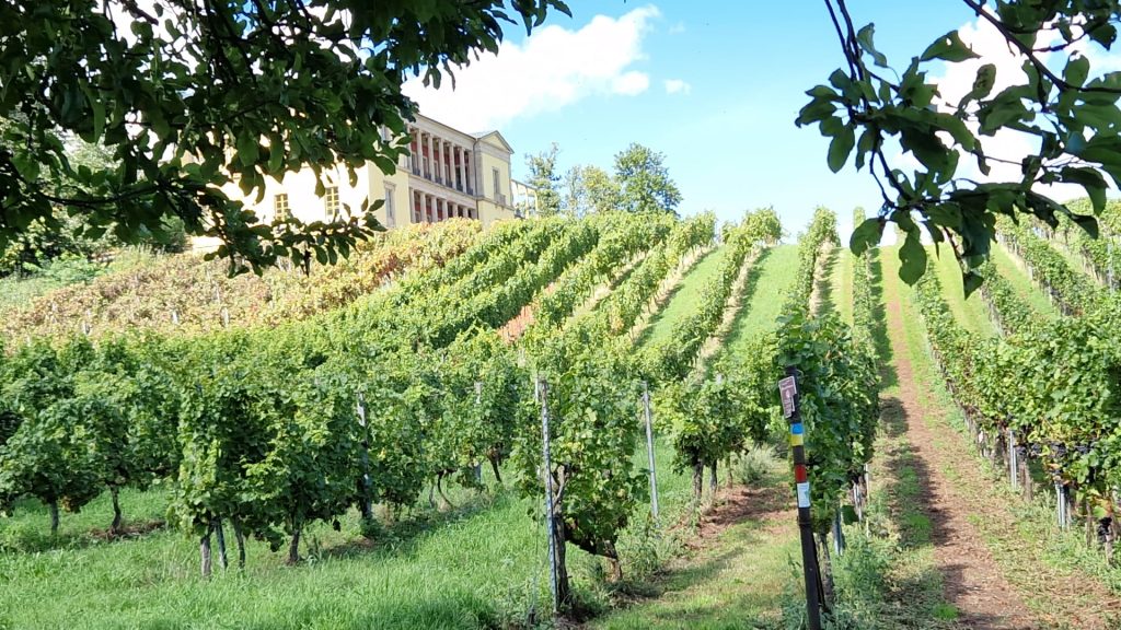 Freizeitwandern: Pfalz – Von Bad Bergzabern zum “Deutschen Weintor” am Donnerstag, 05.10.23 (Frajo)
