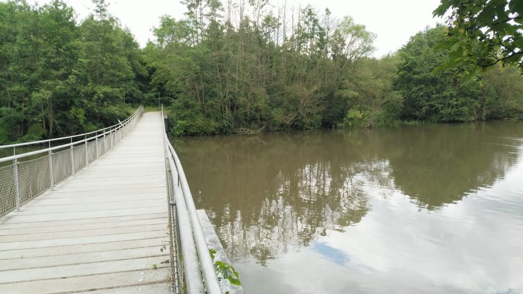 Enzbrücke bei Niefern