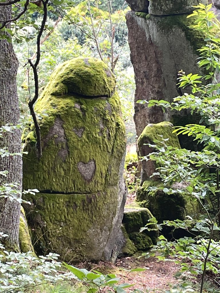 Wanderbericht: Wanderung zur Roten Lache am 07.07.24 (Steffen)