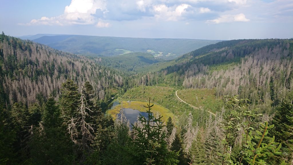 Wandern: Eiszeittour rund um den Huzenbacher See mit Alsarando am Sonntag, 08.09.24 (Andre)